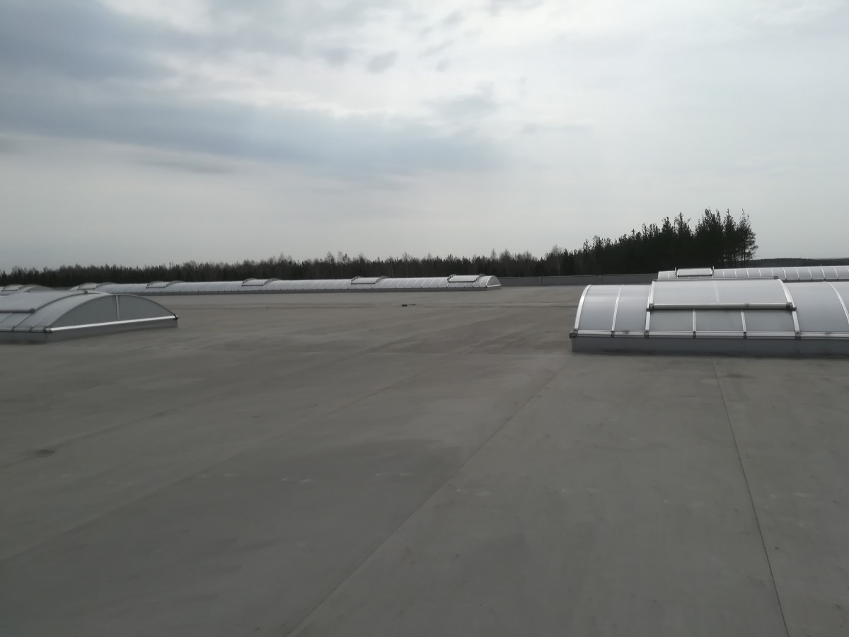 IMG20200409122900