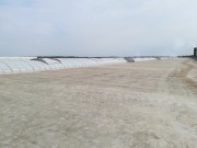 IMG20200409120942