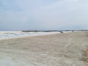 IMG20200409121048