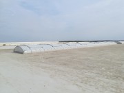 IMG20200409121052