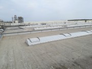 IMG20200409122011