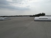 IMG20200409122900
