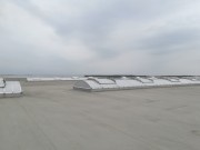 IMG20200409130625