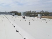 IMG20200504130307
