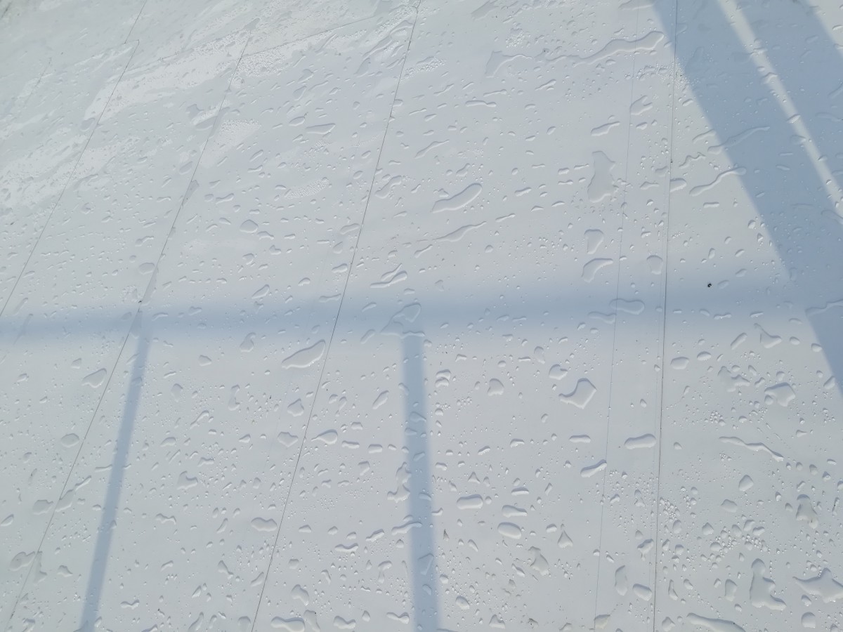 IMG20191210124941