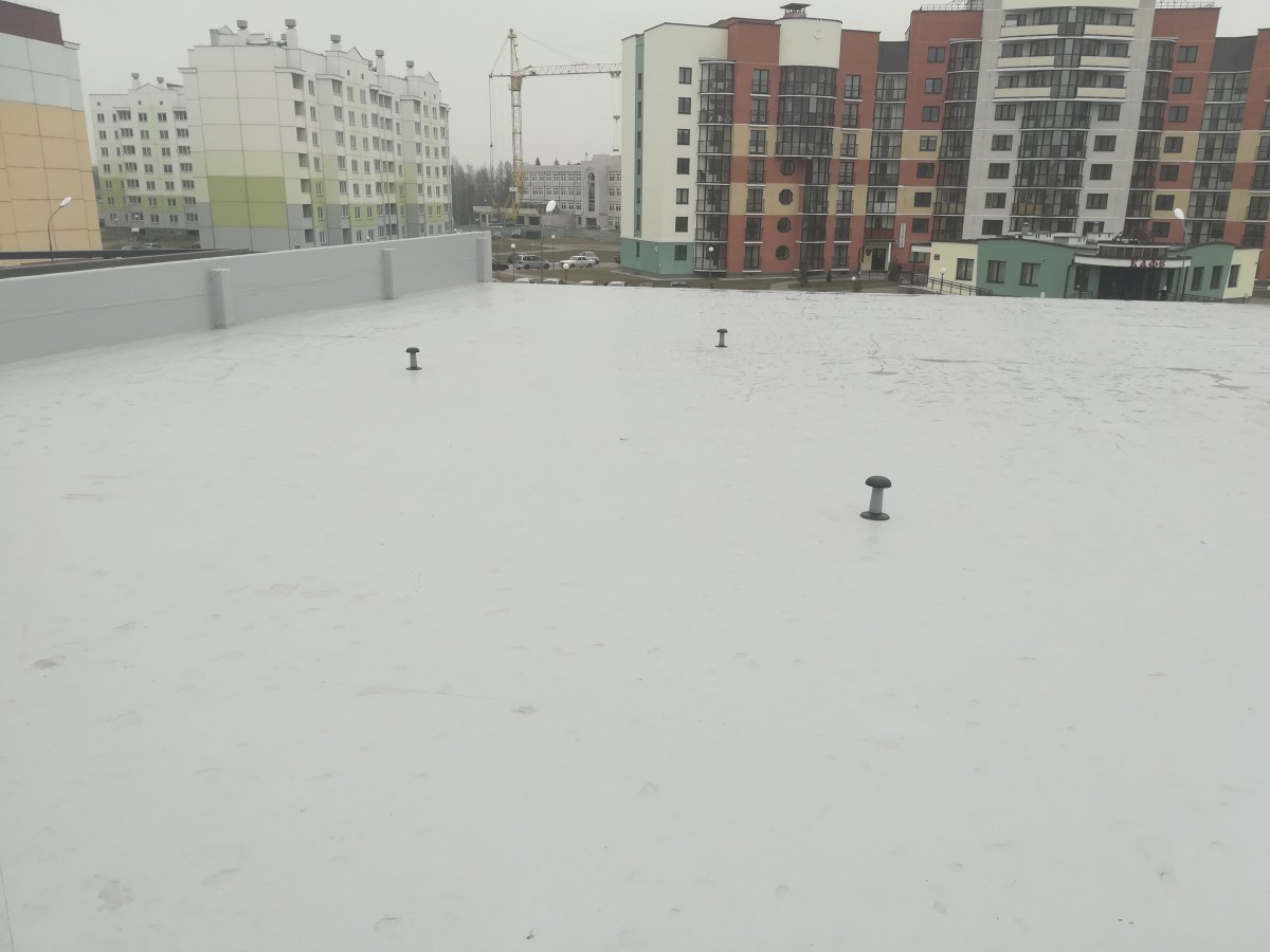 IMG20190228093746