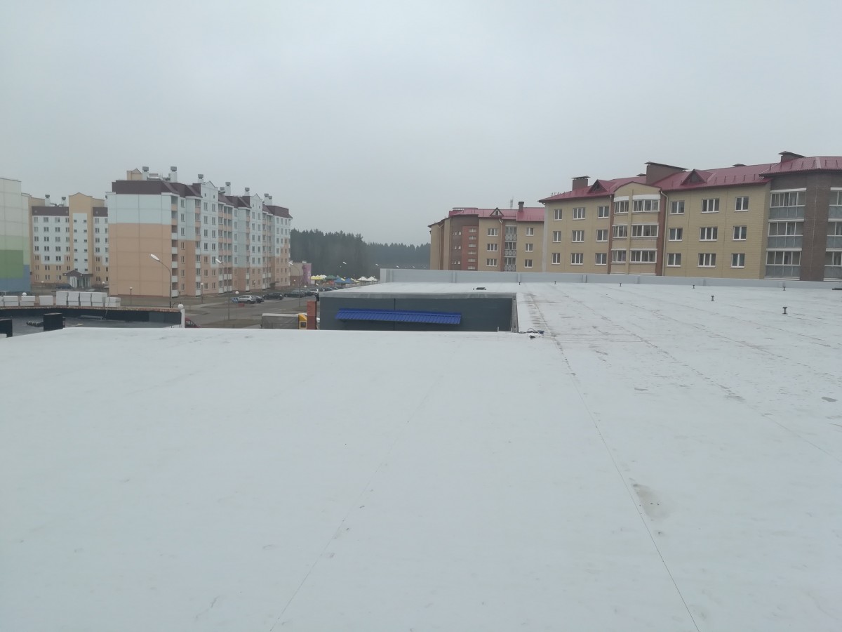 IMG20190228093905