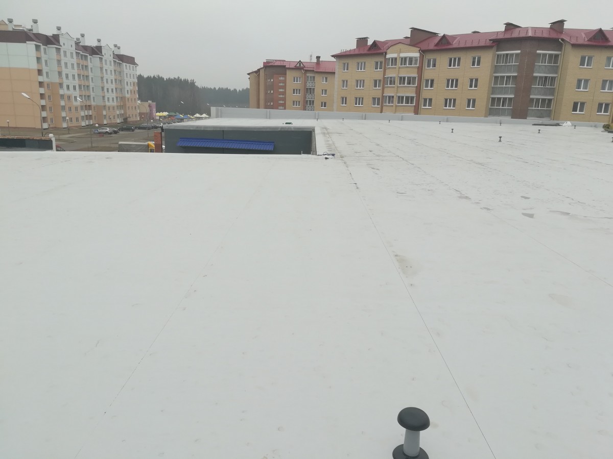 IMG20190228093912