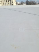 IMG20200226130633