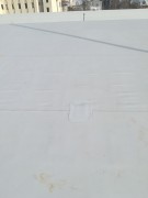 IMG20200226130635