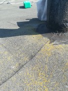 IMG20200327121038