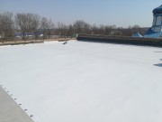 IMG20200327121812