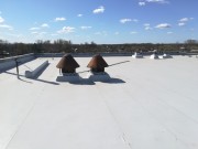 IMG20200410112738